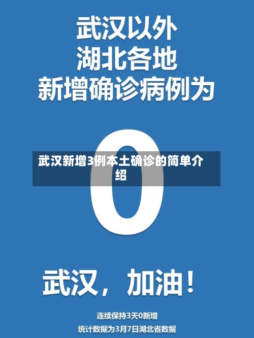 武汉新增3例本土确诊的简单介绍-第1张图片