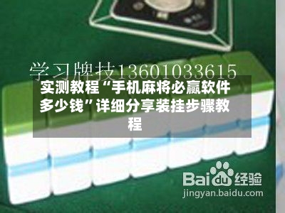 实测教程“手机麻将必赢软件多少钱”详细分享装挂步骤教程-第3张图片