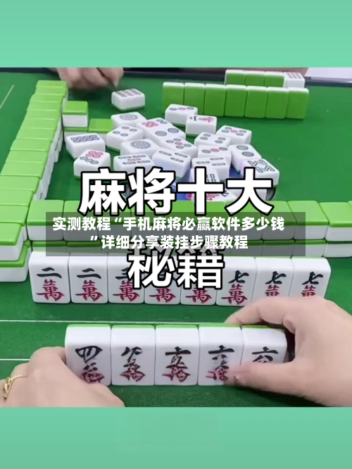 实测教程“手机麻将必赢软件多少钱”详细分享装挂步骤教程-第2张图片
