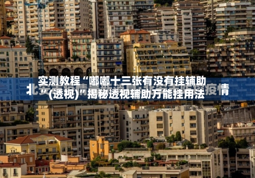 实测教程“嘟嘟十三张有没有挂辅助	”(透视)”揭秘透视辅助万能挂用法-第3张图片