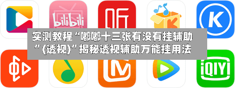 实测教程“嘟嘟十三张有没有挂辅助”(透视)	”揭秘透视辅助万能挂用法-第1张图片