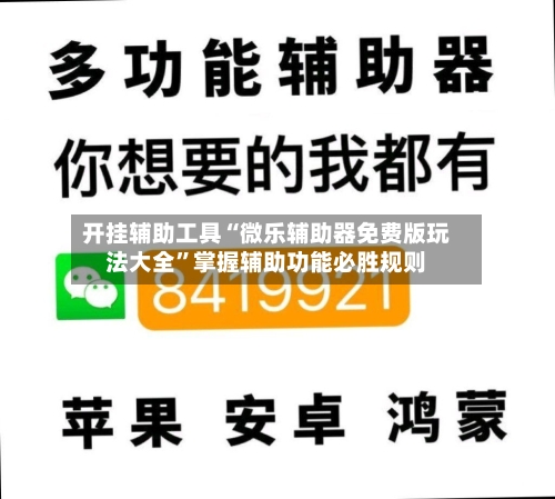 开挂辅助工具“微乐辅助器免费版玩法大全	”掌握辅助功能必胜规则-第1张图片