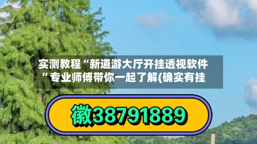 实测教程“新道游大厅开挂透视软件”专业师傅带你一起了解(确实有挂-第1张图片