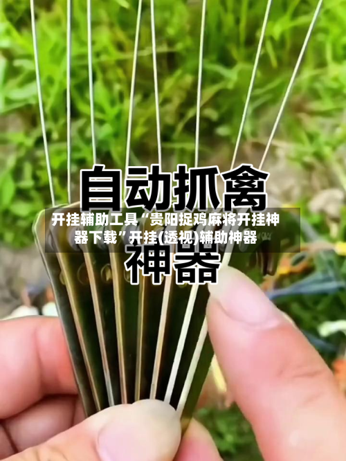 开挂辅助工具“贵阳捉鸡麻将开挂神器下载”开挂(透视)辅助神器-第2张图片