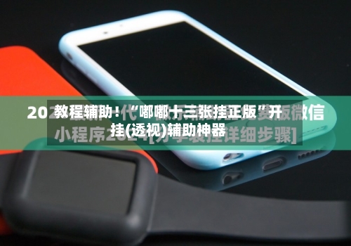 教程辅助！“嘟嘟十三张挂正版	”开挂(透视)辅助神器-第1张图片
