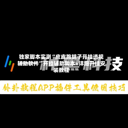 独家脚本实测“皮皮跑胡子开挂透视辅助软件”开挂辅助脚本+详细开挂安装教程-第3张图片