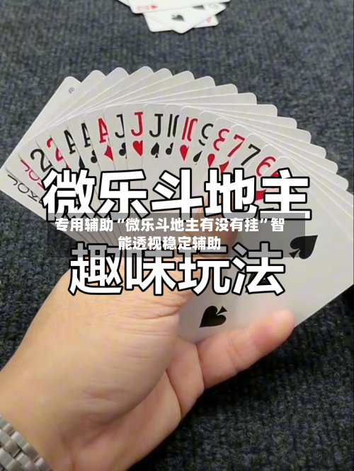 专用辅助“微乐斗地主有没有挂”智能透视稳定辅助-第3张图片