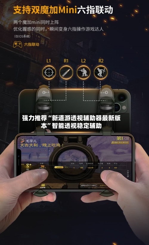 强力推荐“新道游透视辅助器最新版本”智能透视稳定辅助-第1张图片