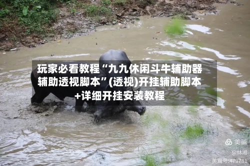 玩家必看教程“九九休闲斗牛辅助器辅助透视脚本”(透视)开挂辅助脚本+详细开挂安装教程-第2张图片