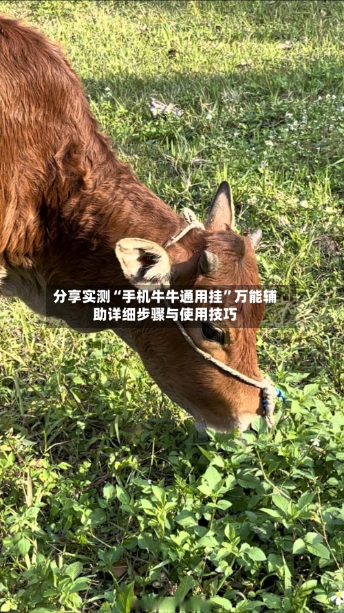 分享实测“手机牛牛通用挂	”万能辅助详细步骤与使用技巧-第1张图片