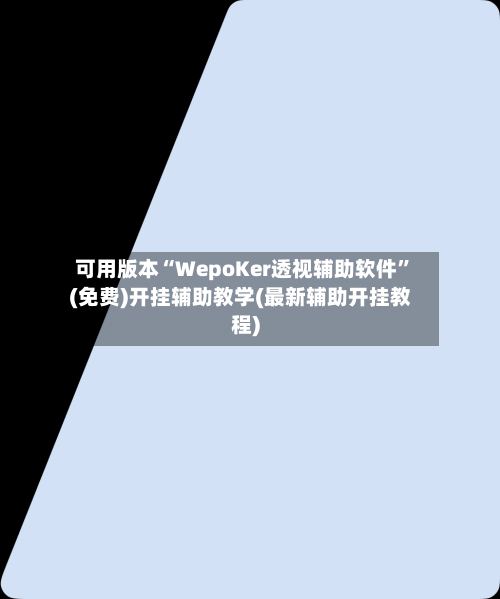可用版本“WepoKer透视辅助软件”(免费)开挂辅助教学(最新辅助开挂教程)-第1张图片