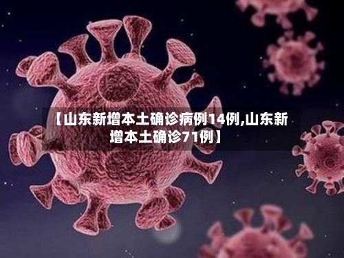 【山东新增本土确诊病例14例,山东新增本土确诊71例】-第1张图片