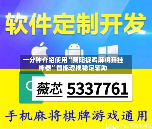 一分钟介绍使用“贵阳捉鸡麻将开挂神器	”智能透视稳定辅助-第2张图片