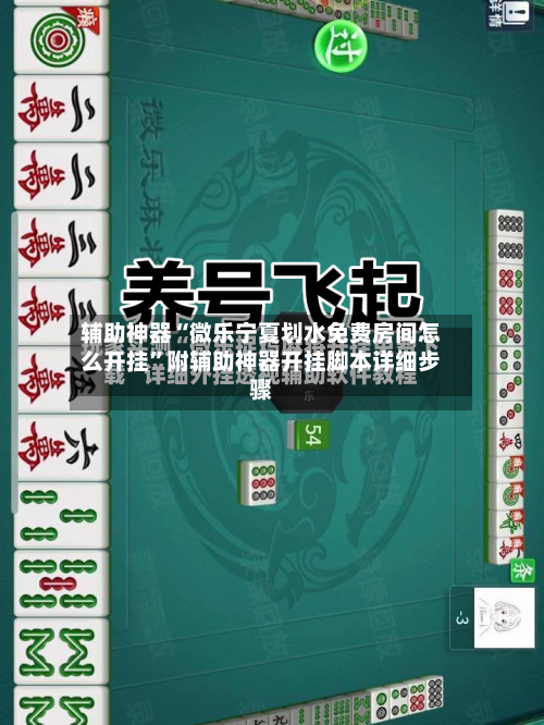 辅助神器“微乐宁夏划水免费房间怎么开挂”附辅助神器开挂脚本详细步骤-第3张图片