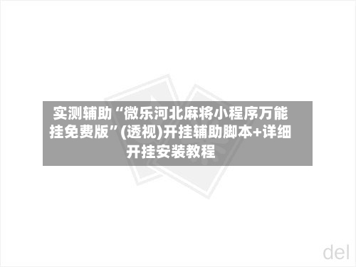 实测辅助“微乐河北麻将小程序万能挂免费版”(透视)开挂辅助脚本+详细开挂安装教程-第3张图片