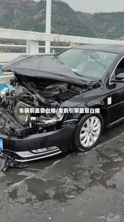 车辆前盖冒白烟/车前引擎盖冒白烟-第1张图片