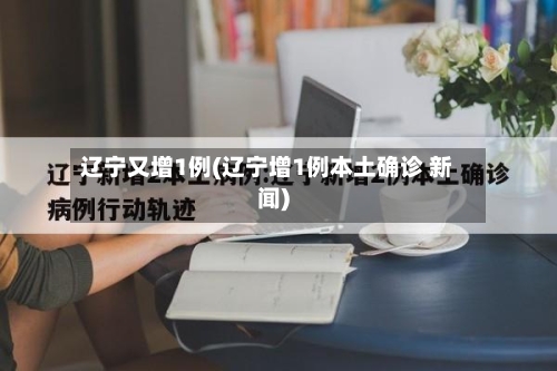 辽宁又增1例(辽宁增1例本土确诊 新闻)-第2张图片