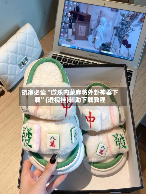玩家必读“微乐内蒙麻将外卦神器下载”(透视挂)辅助下载教程-第1张图片