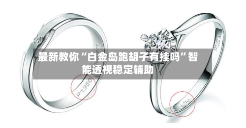 最新教你“白金岛跑胡子有挂吗”智能透视稳定辅助-第1张图片
