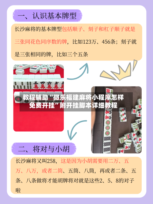教程辅助“微乐福建麻将小程序怎样免费开挂	”附开挂脚本详细教程-第2张图片