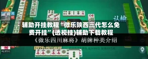 辅助开挂教程“微乐陕西三代怎么免费开挂”(透视挂)辅助下载教程-第2张图片