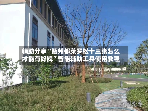 辅助分享“衢州都莱罗松十三张怎么才能有好牌”智能辅助工具使用教程-第3张图片