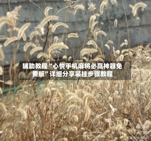 辅助教程“心悦手机麻将必赢神器免费版	”详细分享装挂步骤教程-第1张图片