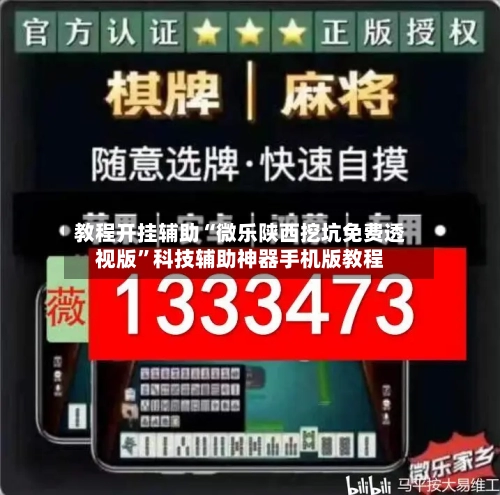 教程开挂辅助“微乐陕西挖坑免费透视版”科技辅助神器手机版教程-第3张图片