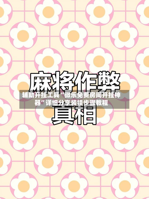 辅助开挂工具“微乐免费房间开挂神器”详细分享装挂步骤教程-第1张图片