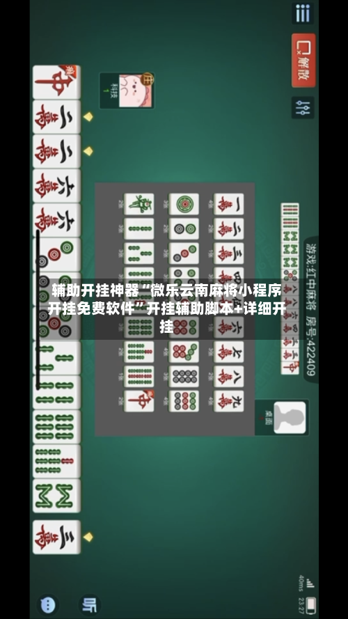 辅助开挂神器“微乐云南麻将小程序开挂免费软件”开挂辅助脚本+详细开挂-第1张图片