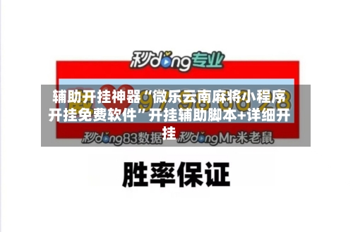 辅助开挂神器“微乐云南麻将小程序开挂免费软件”开挂辅助脚本+详细开挂-第2张图片