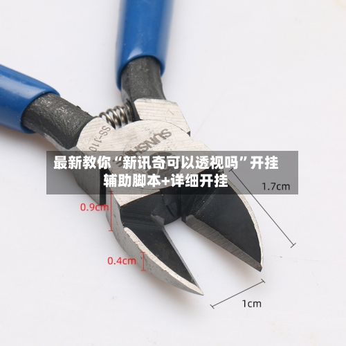 最新教你“新讯奇可以透视吗	”开挂辅助脚本+详细开挂-第2张图片