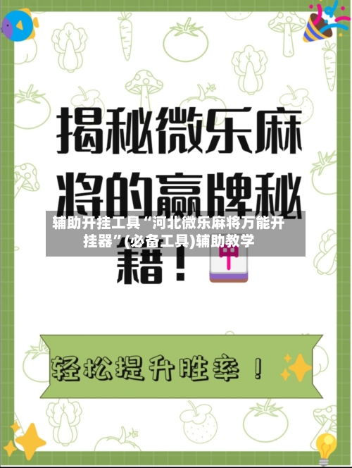 辅助开挂工具“河北微乐麻将万能开挂器”(必备工具)辅助教学-第1张图片