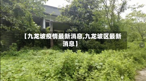 【九龙坡疫情最新消息,九龙坡区最新消息】-第1张图片