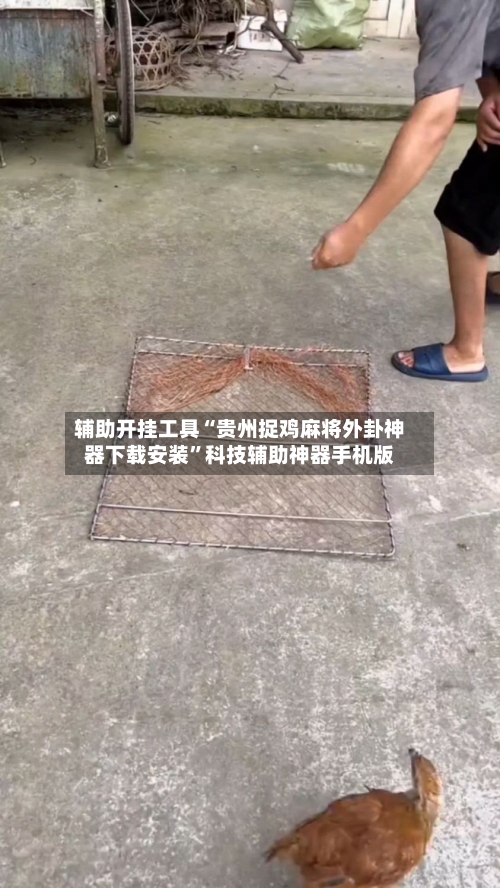 辅助开挂工具“贵州捉鸡麻将外卦神器下载安装”科技辅助神器手机版-第1张图片