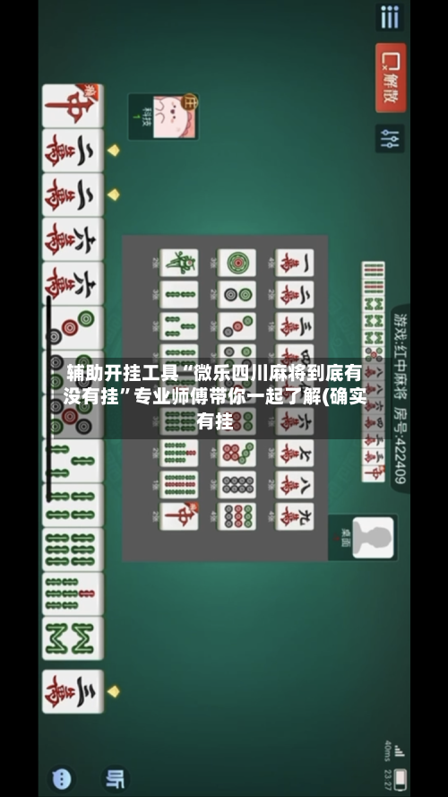 辅助开挂工具“微乐四川麻将到底有没有挂”专业师傅带你一起了解(确实有挂-第2张图片