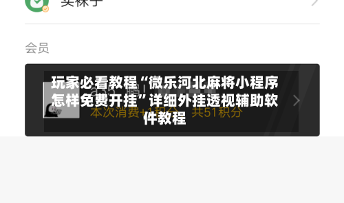 玩家必看教程“微乐河北麻将小程序怎样免费开挂”详细外挂透视辅助软件教程-第1张图片