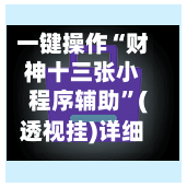 一键操作“财神十三张小程序辅助”(透视挂)详细用法教程-第2张图片