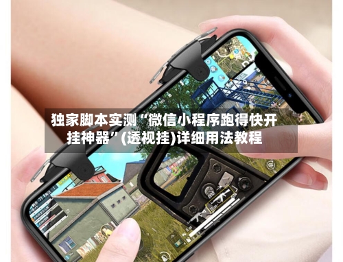 独家脚本实测“微信小程序跑得快开挂神器	”(透视挂)详细用法教程-第3张图片