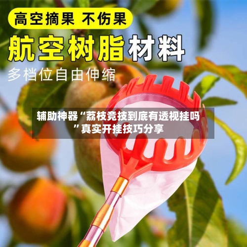 辅助神器“荔枝竞技到底有透视挂吗”真实开挂技巧分享-第2张图片