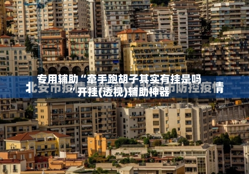 专用辅助“牵手跑胡子其实有挂是吗”开挂(透视)辅助神器-第3张图片