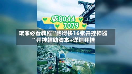 玩家必看教程“跑得快16张开挂神器	”开挂辅助脚本+详细开挂-第2张图片