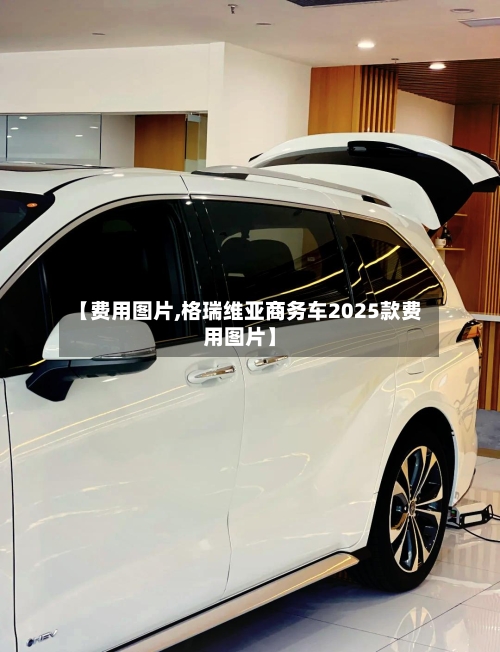 【费用图片,格瑞维亚商务车2025款费用图片】-第1张图片