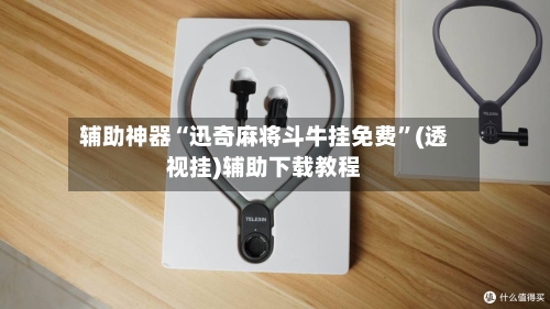 辅助神器“迅奇麻将斗牛挂免费”(透视挂)辅助下载教程-第2张图片