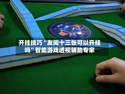 开挂技巧“友间十三张可以开挂吗	”智能游戏透视辅助专家-第3张图片