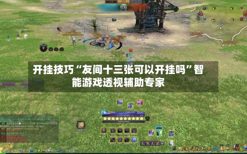 开挂技巧“友间十三张可以开挂吗”智能游戏透视辅助专家-第2张图片