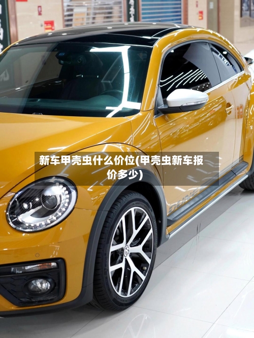 新车甲壳虫什么价位(甲壳虫新车报价多少)-第1张图片