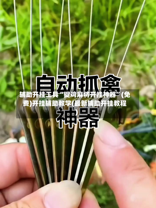 辅助开挂工具“捉鸡麻将开挂神器”(免费)开挂辅助教学(最新辅助开挂教程)-第3张图片