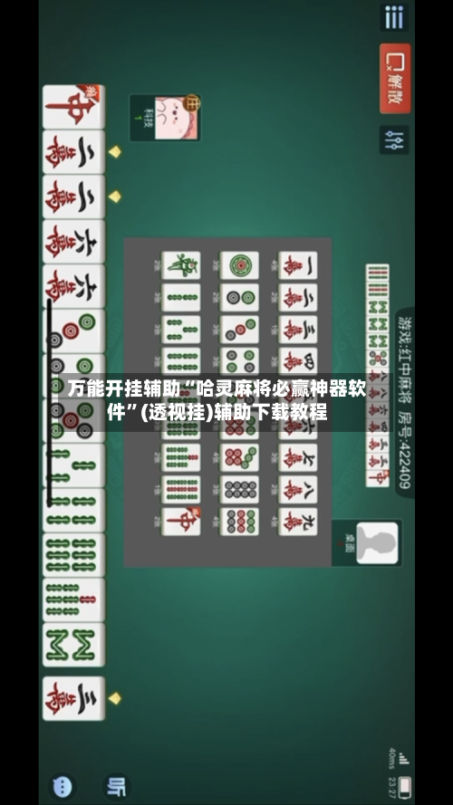 万能开挂辅助“哈灵麻将必赢神器软件”(透视挂)辅助下载教程-第2张图片