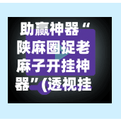 助赢神器“陕麻圈捉老麻子开挂神器”(透视挂)详细用法教程-第2张图片